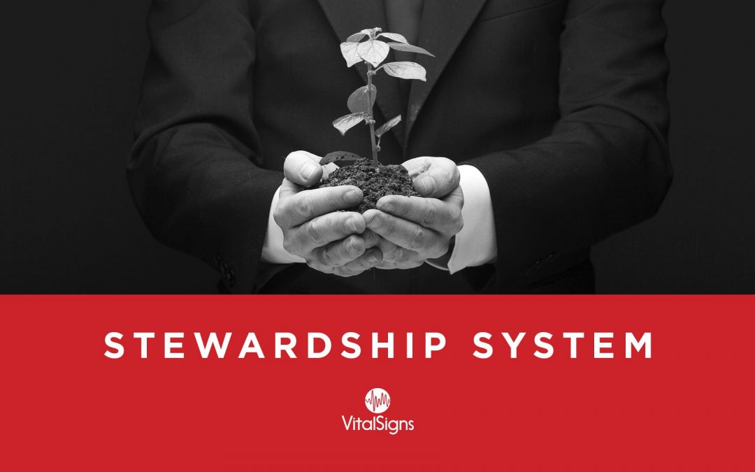 Lesson 6 – Stewardship System (Unlimited)