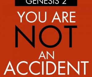 Not An Accident